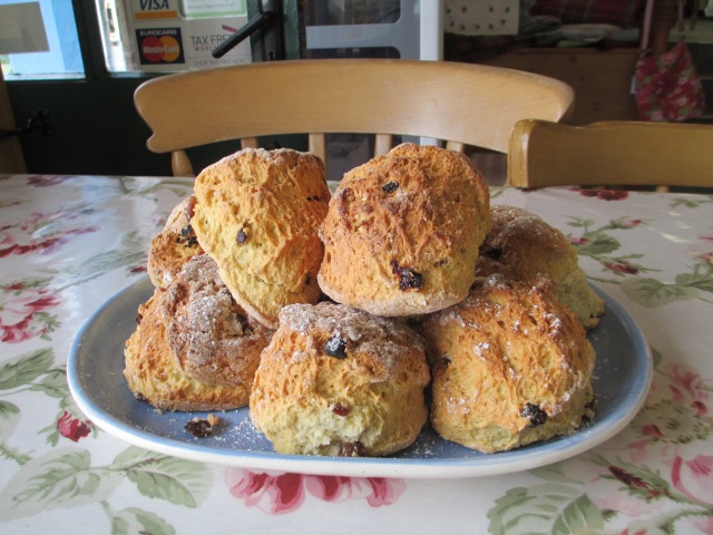 Plate of yummy scones!